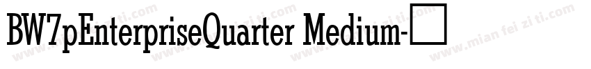 BW7pEnterpriseQuarter Medium字体转换
